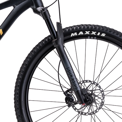 ctm-rascal-pro-29-d2